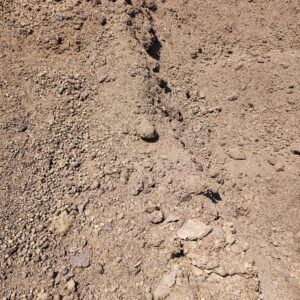 Premium Sheep and Cow Manure