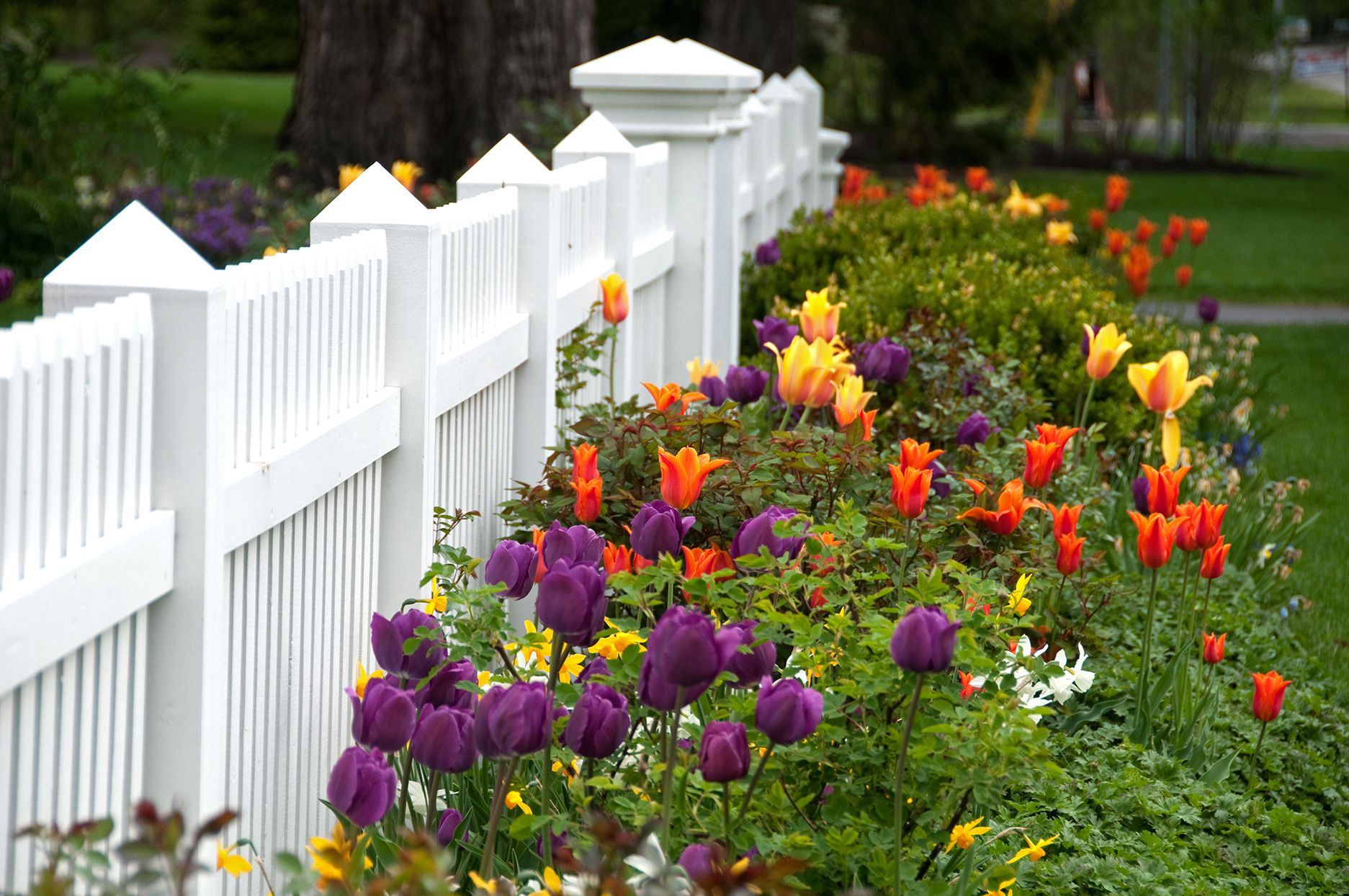 Gardening Perth